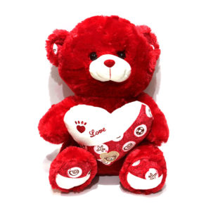 Assorted Teddy Bear Cuddly Soft Toy